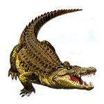 Имишь (крокодил)